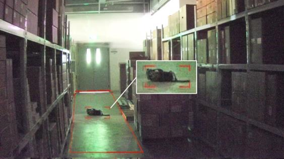 非凡国际(中国区)-官方网站