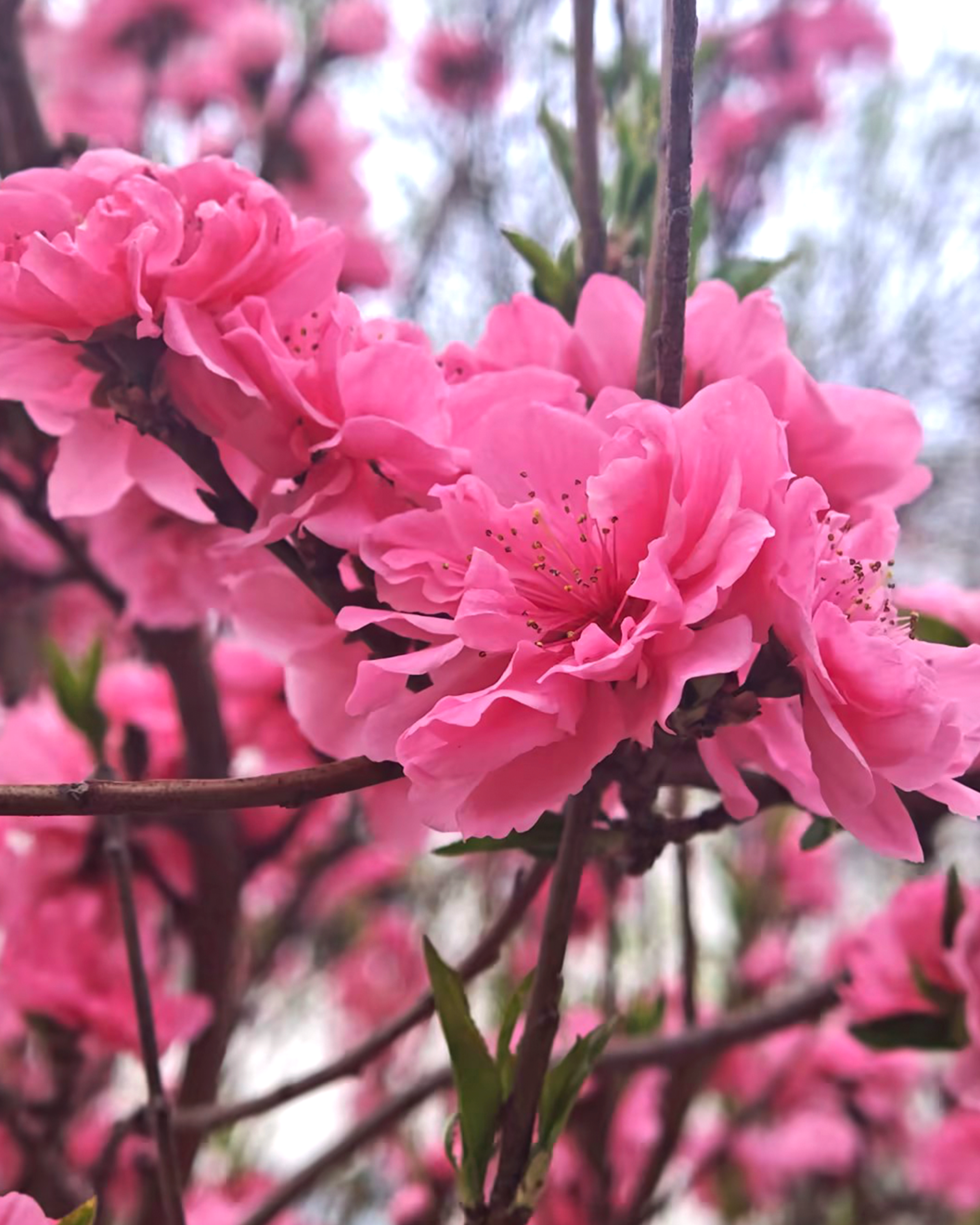 非凡国际(中国区)-官方网站