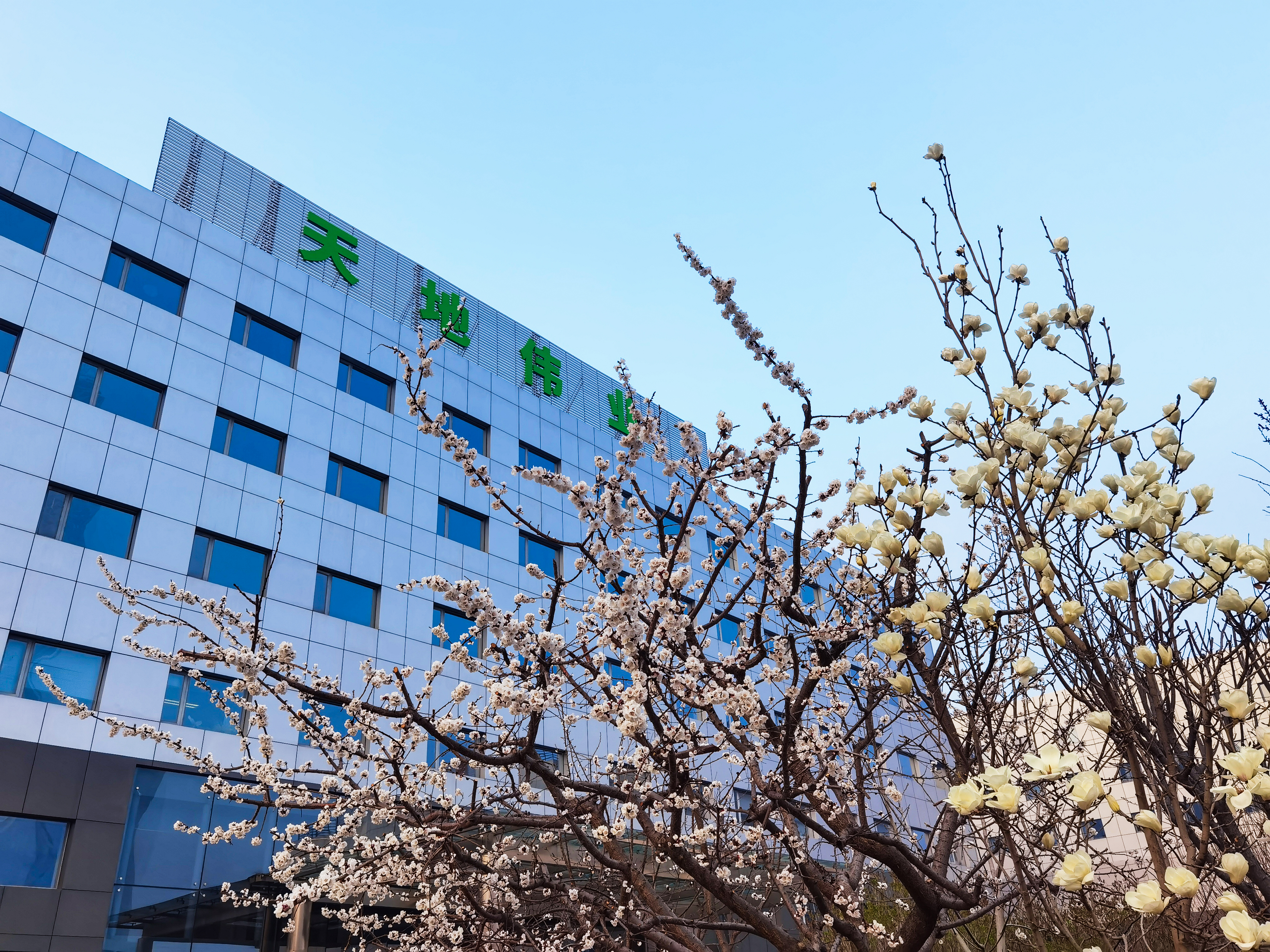 非凡国际(中国区)-官方网站