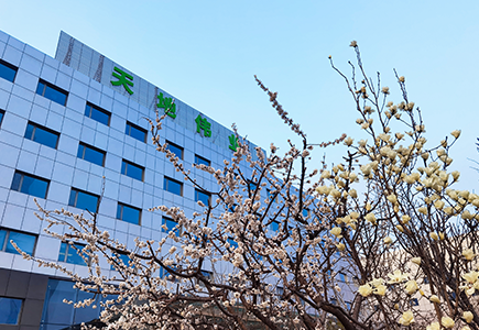 非凡国际(中国区)-官方网站