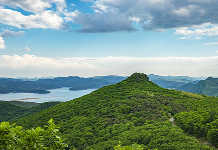 非凡国际(中国区)-官方网站